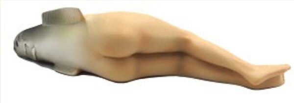 Surreal Collective Invention Female Fish Statue by Magritte woman